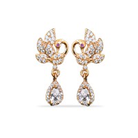 Drop with peacock model