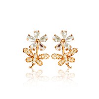 Drop with butterfly model